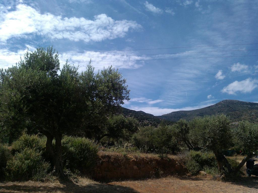Studios Evdokia Platis Gialos (Sifnos) Exterior foto